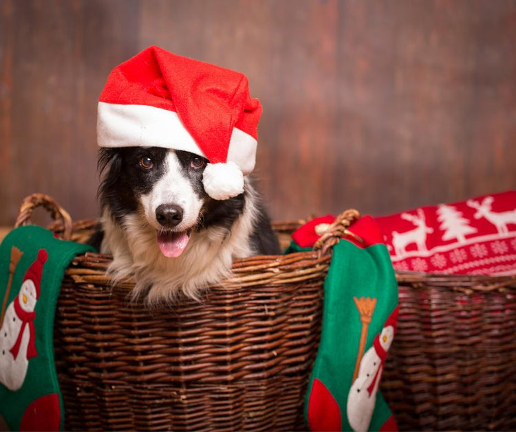 Kerstspecial