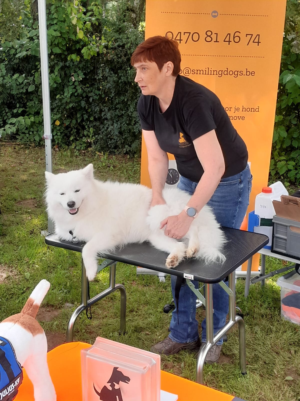 E-Book: Voordeelpakket: Fit & Relax – Combi E-book (Body & Balans + Massage)|Smiling dogs