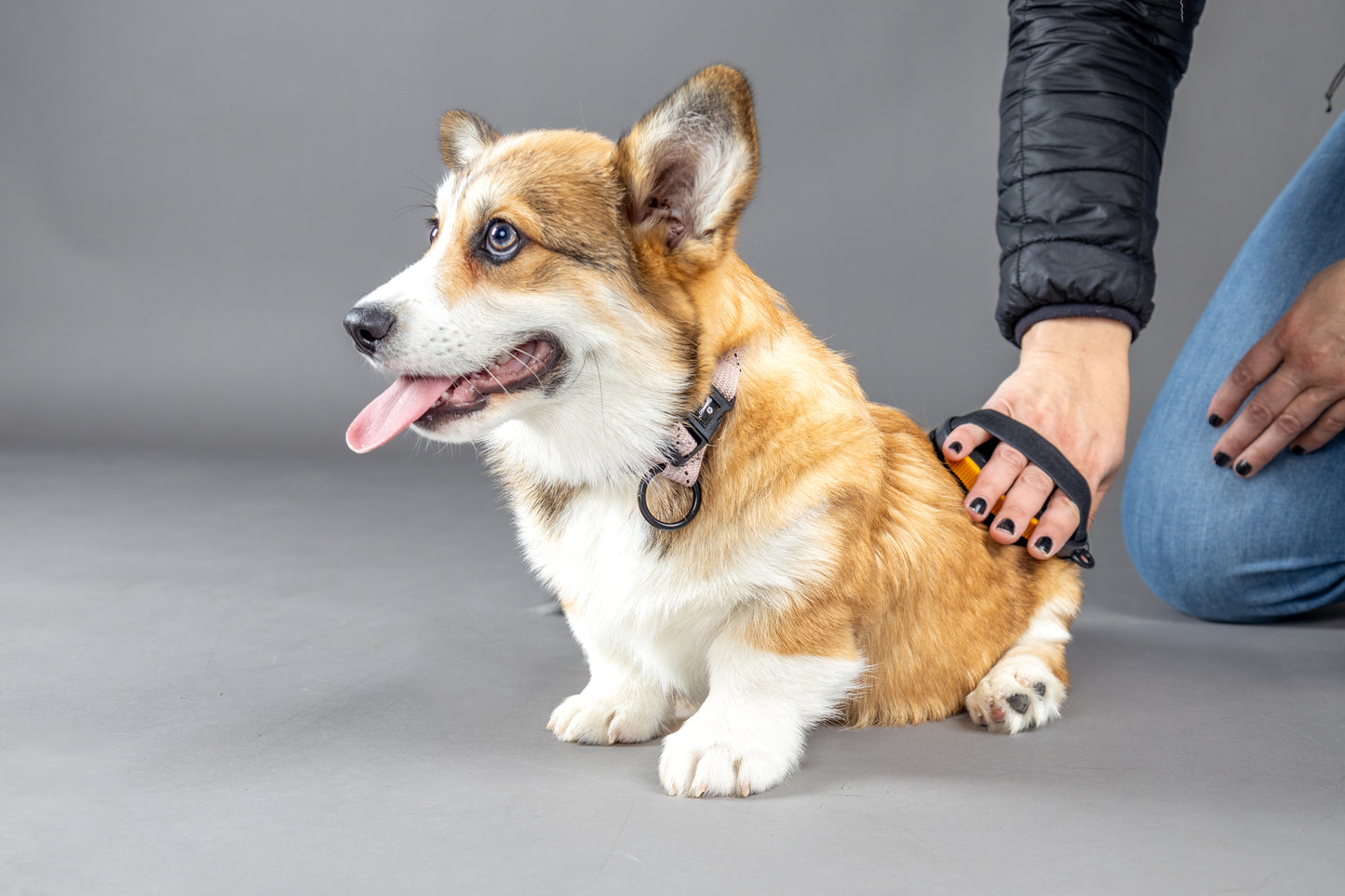 MASSAGEBORSTEL CALMY PUPPY