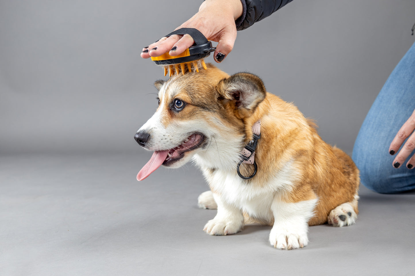 MASSAGEBORSTEL CALMY PUPPY