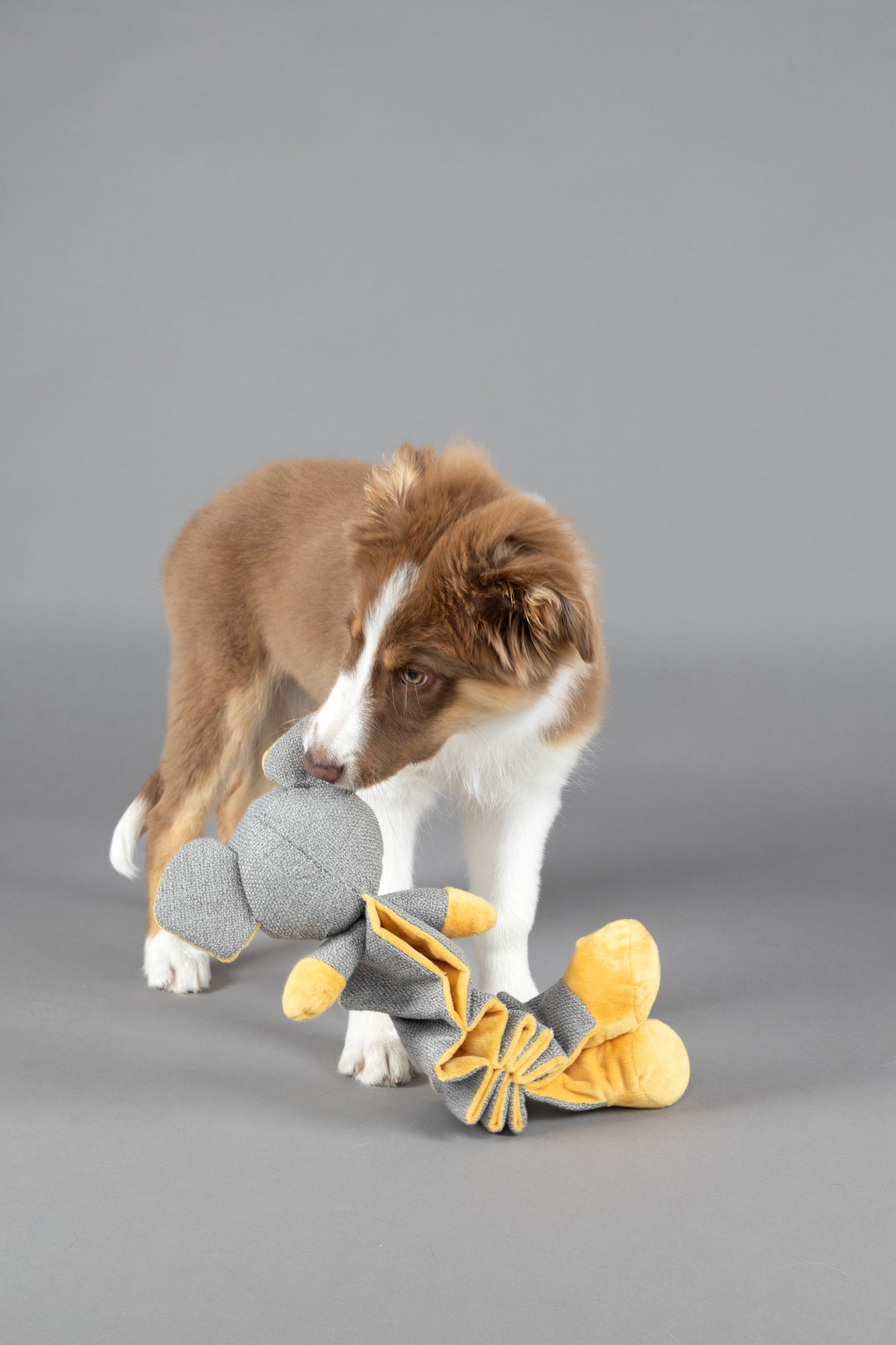 SPEELGOED PUPPY FOLSY MUIS OKER