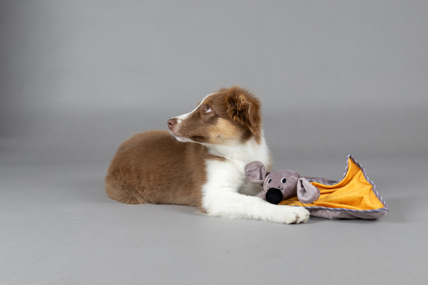 SPEELGOED PUPPY LIVO KNUFFELDOEK
