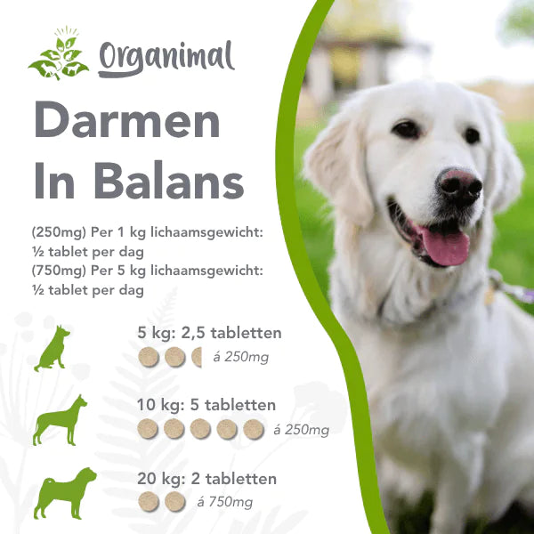 Organimal Darmen in balans