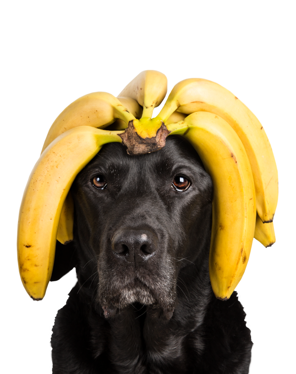 Tippy Taps Banana / Banaan