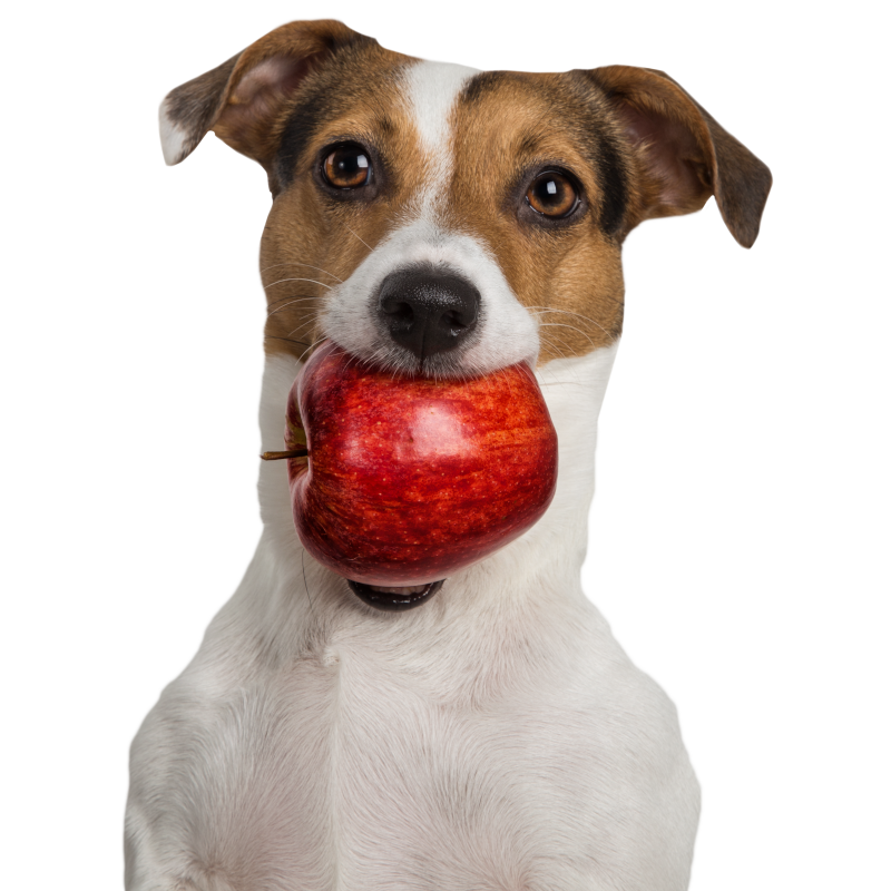 Tippy Taps Sweet Apple / Zoete Appel