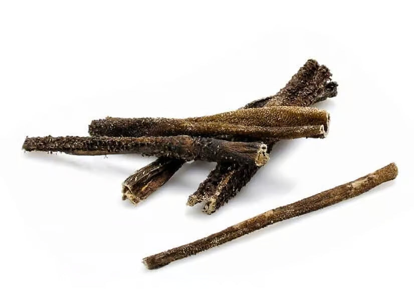 YDOLO – Lamspens