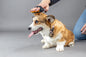 MASSAGEBORSTEL CALMY PUPPY