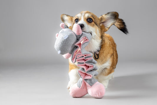Speelgoed Puppy Filsy Nijlpaard Roze
