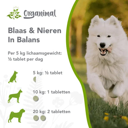 Organimal Blaas & Nieren in Balans