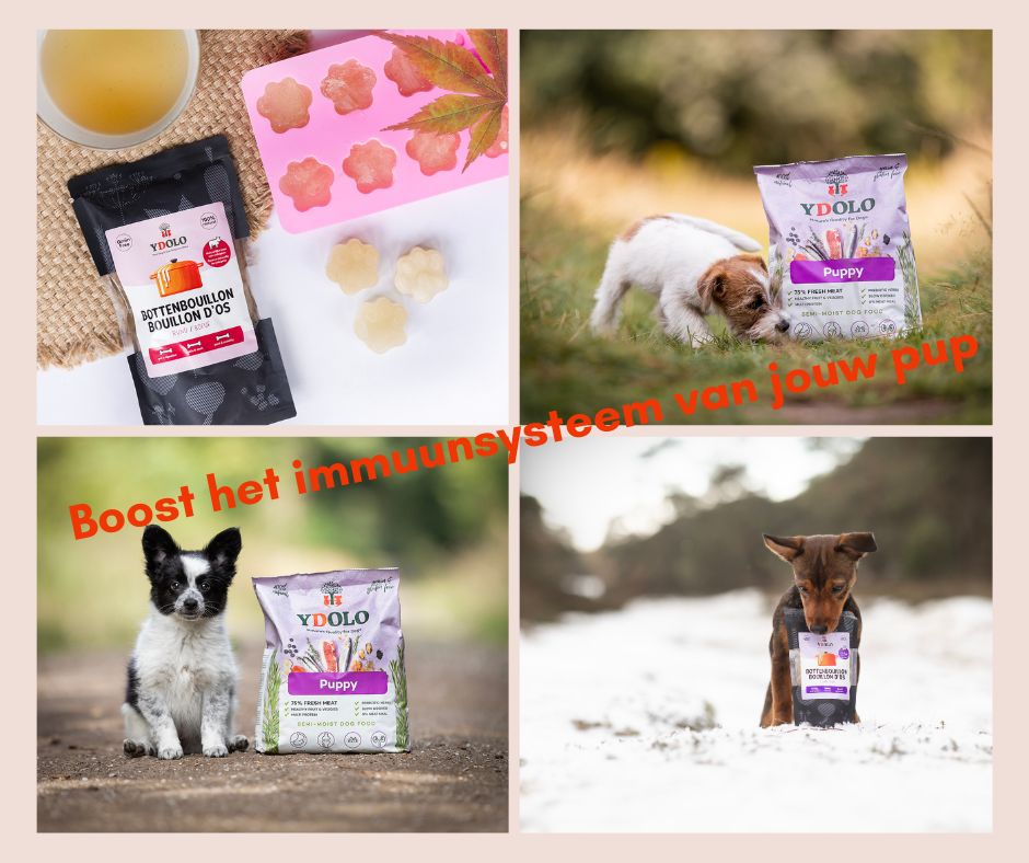 Puppy boost pakket Ydolo puppy 2.5kg + Ydolo bottenbouillon