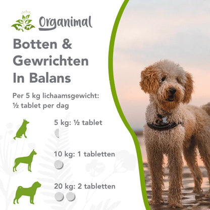Organimal Botten & Gewrichten in Balans