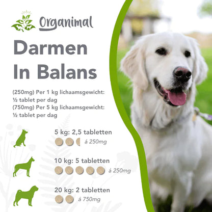 Organimal Darmen in balans