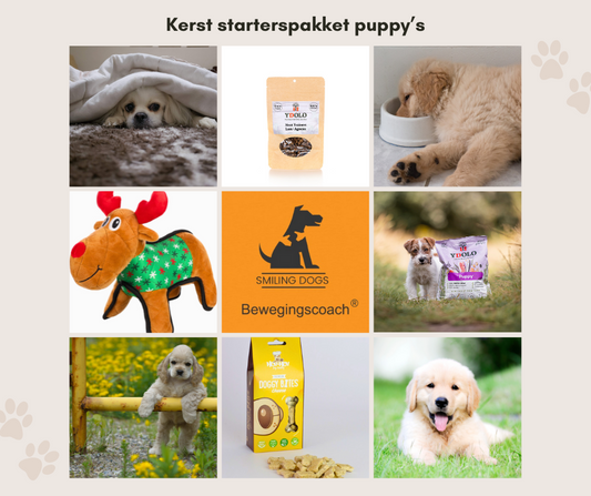 Kerst starterspakket voor puppy's