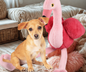Ando Flamingo Roze L75cm