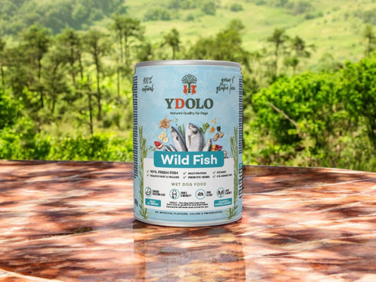 YDOLO Natvoer – Wild Fish