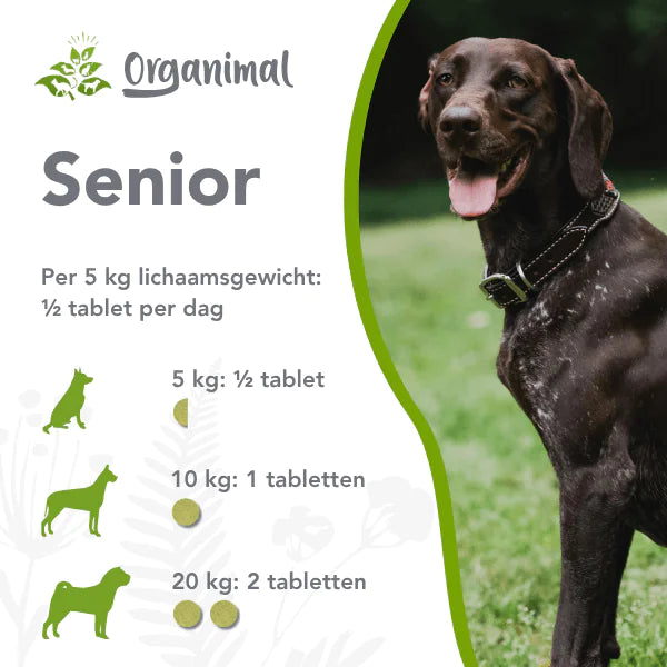 Organimal Senior