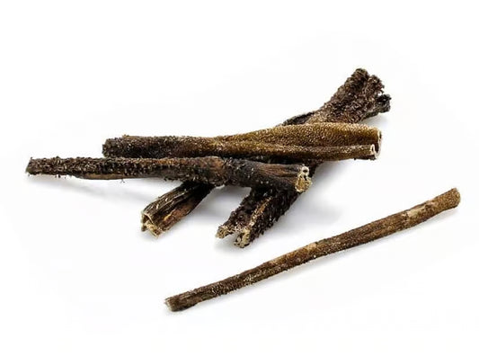 YDOLO – Lamspens